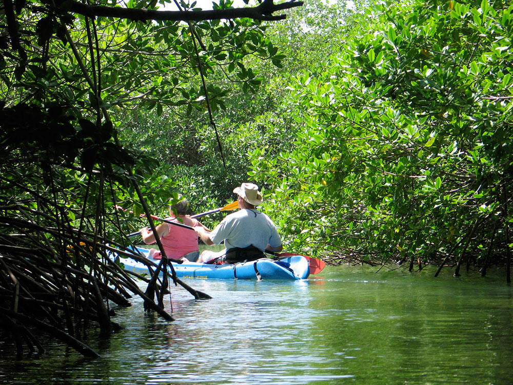 kayaking bonaire04