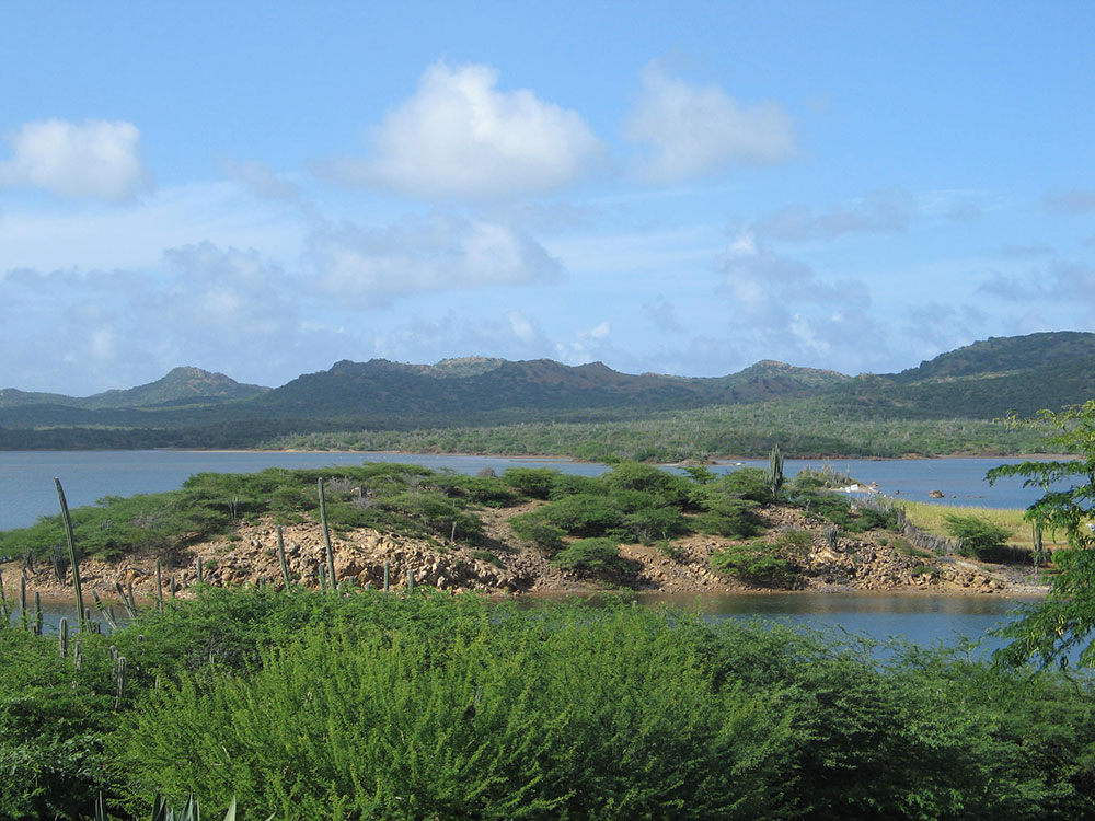 scenic views01