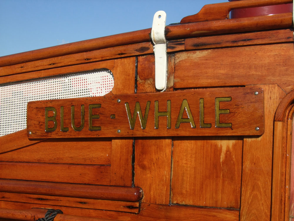 Blue Whale Canal Boat