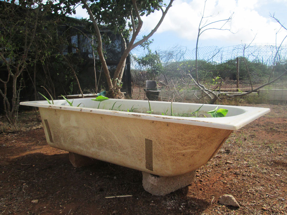 bathtub