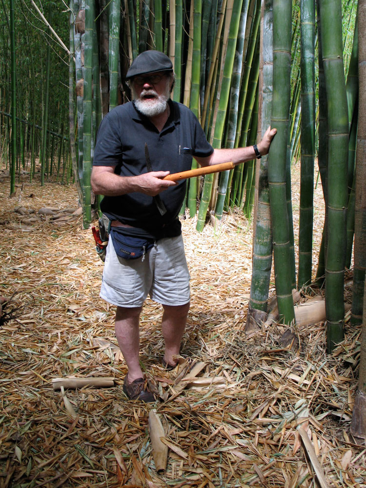 Barry in the Forest