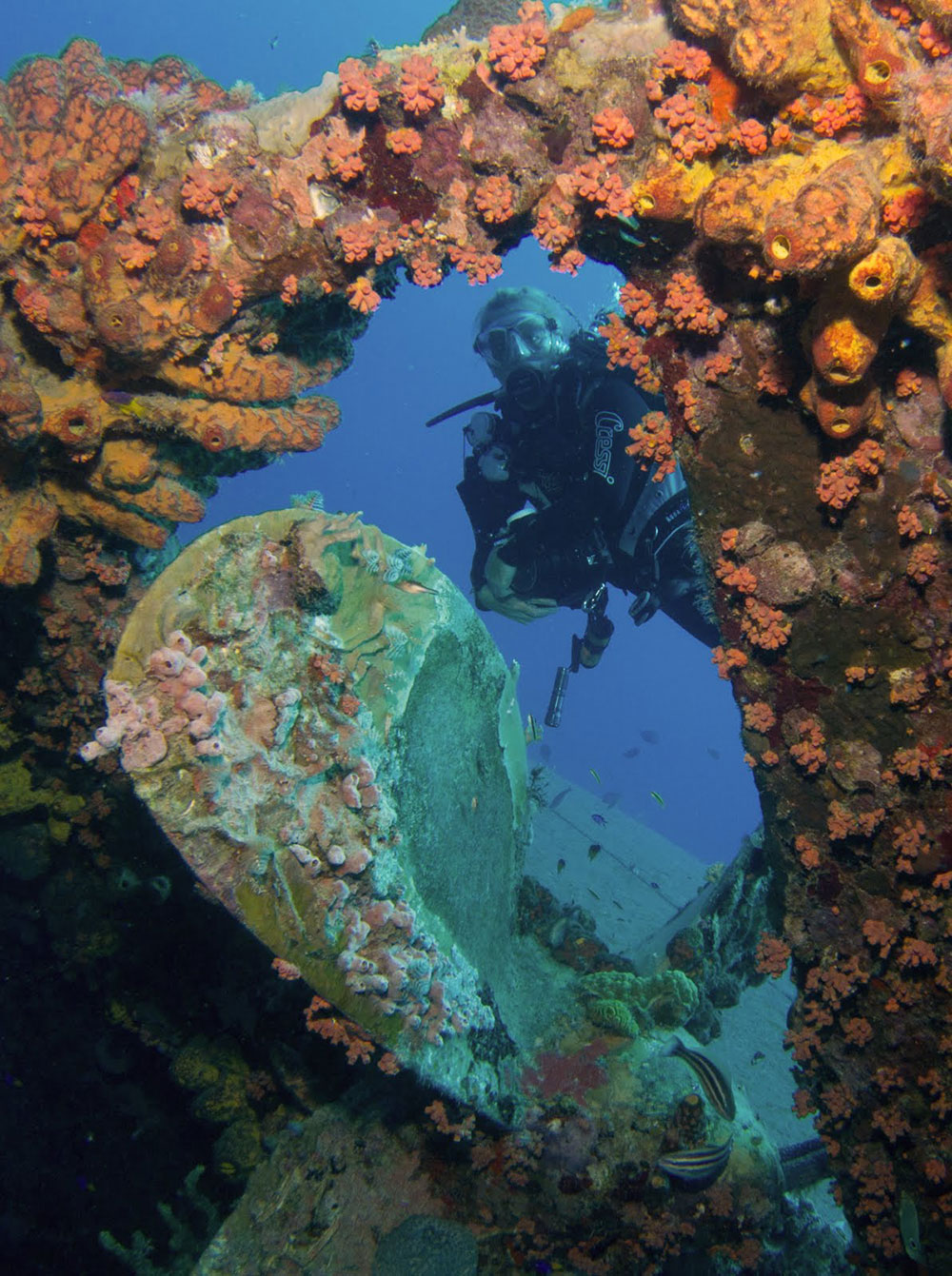 hilma-hooker-bonaire-diving