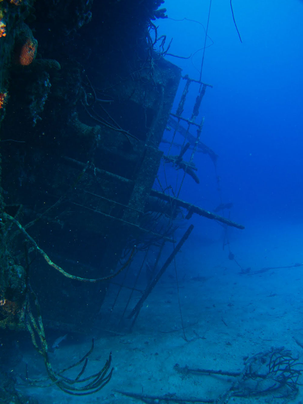 hilma-hooker-bonaire-diving