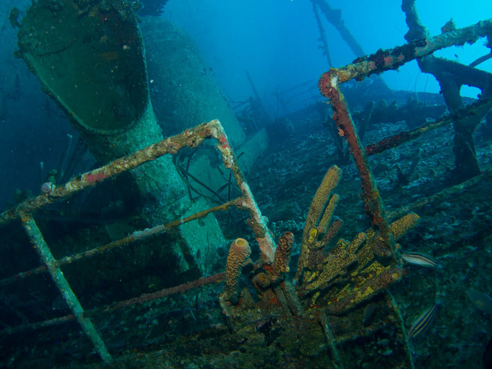 hilma-hooker-bonaire-diving