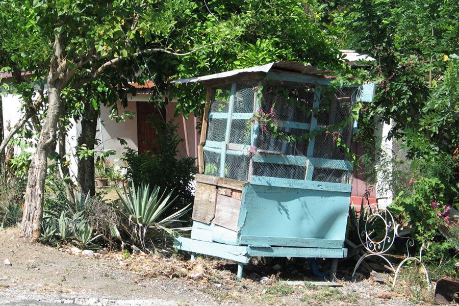 jamaica03