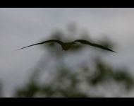 IMG 1584